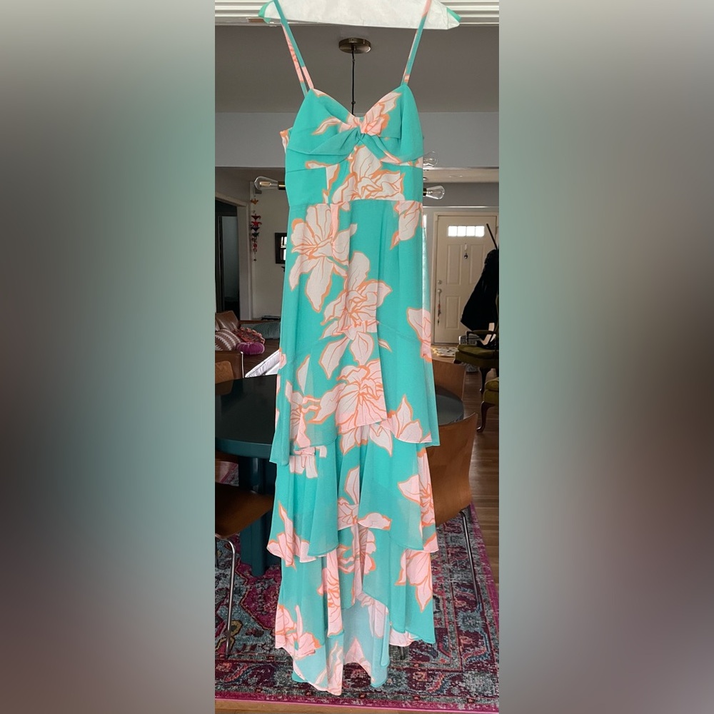 COPY - Hutch Anthropologie Floral Tiered Maxi Dress Size 2 - Picture 12 of 13